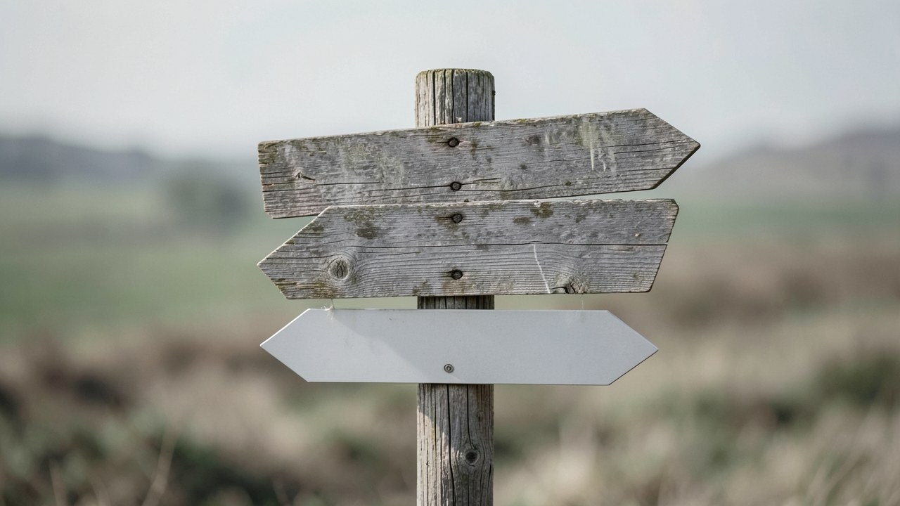 A signpost with multiple empty signs pointing in different directions, symbolizing caution and multiple considerations.